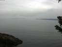 ./images/koeye/fitz-hugh/20190616/fitz-hugh20190616_082502.jpg