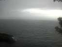 ./images/koeye/fitz-hugh/20190617/fitz-hugh20190617_182501.jpg