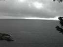 ./images/koeye/fitz-hugh/20190617/fitz-hugh20190617_223501.jpg