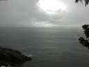 ./images/koeye/fitz-hugh/20190619/fitz-hugh20190619_112501.jpg