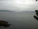 ./images/koeye/fitz-hugh/20190622/fitz-hugh20190622_081502.jpg