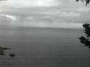 ./images/koeye/fitz-hugh/20190623/fitz-hugh20190623_042502.jpg