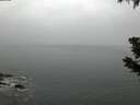 ./images/koeye/fitz-hugh/20190623/fitz-hugh20190623_045502.jpg