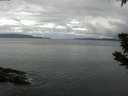 ./images/koeye/fitz-hugh/20190624/fitz-hugh20190624_083501.jpg