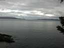 ./images/koeye/fitz-hugh/20190624/fitz-hugh20190624_084001.jpg