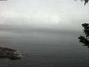 ./images/koeye/fitz-hugh/20190625/fitz-hugh20190625_042001.jpg