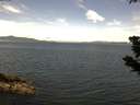 ./images/koeye/fitz-hugh/20190626/fitz-hugh20190626_114001.jpg