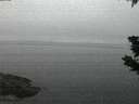 ./images/koeye/fitz-hugh/20190627/fitz-hugh20190627_042502.jpg