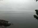 ./images/koeye/fitz-hugh/20190627/fitz-hugh20190627_043502.jpg