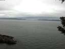 ./images/koeye/fitz-hugh/20190627/fitz-hugh20190627_131001.jpg