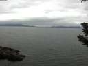 ./images/koeye/fitz-hugh/20190627/fitz-hugh20190627_141002.jpg