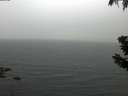 ./images/koeye/fitz-hugh/20190627/fitz-hugh20190627_202502.jpg