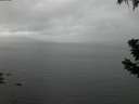 ./images/koeye/fitz-hugh/20190627/fitz-hugh20190627_221501.jpg
