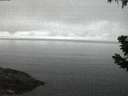 ./images/koeye/fitz-hugh/20190628/fitz-hugh20190628_043502.jpg