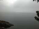 ./images/koeye/fitz-hugh/20190628/fitz-hugh20190628_051501.jpg