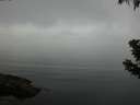./images/koeye/fitz-hugh/20190628/fitz-hugh20190628_062501.jpg