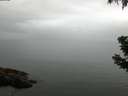 ./images/koeye/fitz-hugh/20190628/fitz-hugh20190628_065501.jpg