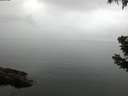 ./images/koeye/fitz-hugh/20190628/fitz-hugh20190628_072002.jpg