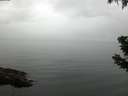 ./images/koeye/fitz-hugh/20190628/fitz-hugh20190628_072502.jpg