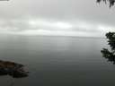 ./images/koeye/fitz-hugh/20190628/fitz-hugh20190628_075001.jpg