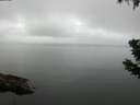 ./images/koeye/fitz-hugh/20190628/fitz-hugh20190628_075501.jpg