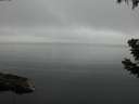 ./images/koeye/fitz-hugh/20190628/fitz-hugh20190628_080001.jpg