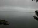 ./images/koeye/fitz-hugh/20190628/fitz-hugh20190628_080501.jpg