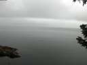 ./images/koeye/fitz-hugh/20190628/fitz-hugh20190628_081001.jpg
