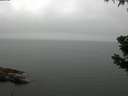 ./images/koeye/fitz-hugh/20190628/fitz-hugh20190628_084001.jpg