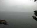 ./images/koeye/fitz-hugh/20190628/fitz-hugh20190628_085501.jpg