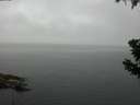 ./images/koeye/fitz-hugh/20190628/fitz-hugh20190628_091501.jpg