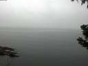 ./images/koeye/fitz-hugh/20190628/fitz-hugh20190628_092001.jpg