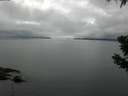 ./images/koeye/fitz-hugh/20190628/fitz-hugh20190628_110501.jpg