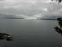 ./images/koeye/fitz-hugh/20190628/fitz-hugh20190628_111001.jpg