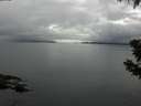./images/koeye/fitz-hugh/20190628/fitz-hugh20190628_111501.jpg
