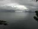 ./images/koeye/fitz-hugh/20190628/fitz-hugh20190628_115501.jpg