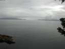 ./images/koeye/fitz-hugh/20190628/fitz-hugh20190628_130502.jpg