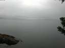 ./images/koeye/fitz-hugh/20190628/fitz-hugh20190628_160002.jpg