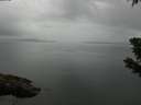 ./images/koeye/fitz-hugh/20190628/fitz-hugh20190628_164002.jpg