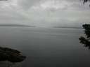 ./images/koeye/fitz-hugh/20190628/fitz-hugh20190628_165002.jpg