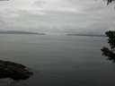 ./images/koeye/fitz-hugh/20190628/fitz-hugh20190628_165502.jpg
