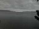 ./images/koeye/fitz-hugh/20190628/fitz-hugh20190628_224002.jpg