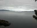 ./images/koeye/fitz-hugh/20190629/fitz-hugh20190629_074501.jpg