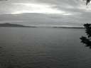 ./images/koeye/fitz-hugh/20190629/fitz-hugh20190629_224502.jpg