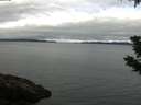 ./images/koeye/fitz-hugh/20190703/fitz-hugh20190703_095502.jpg