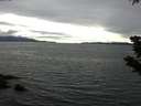 ./images/koeye/fitz-hugh/20190704/fitz-hugh20190704_172501.jpg