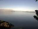 ./images/koeye/fitz-hugh/20190705/fitz-hugh20190705_081001.jpg