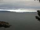 ./images/koeye/fitz-hugh/20190707/fitz-hugh20190707_082501.jpg