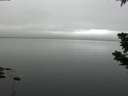 ./images/koeye/fitz-hugh/20190709/fitz-hugh20190709_071502.jpg