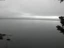 ./images/koeye/fitz-hugh/20190709/fitz-hugh20190709_072502.jpg
